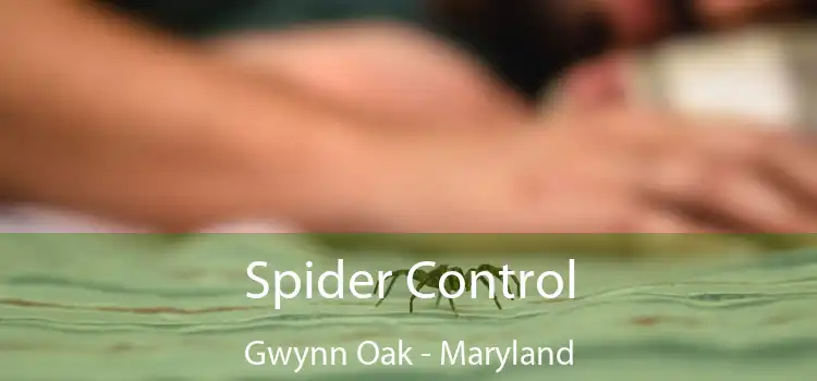 Spider Control Gwynn Oak - Maryland