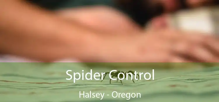 Spider Control Halsey - Oregon