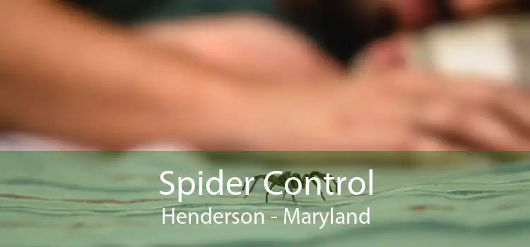Spider Control Henderson - Maryland