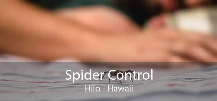 Spider Control Hilo - Hawaii