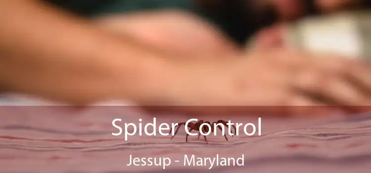 Spider Control Jessup - Maryland