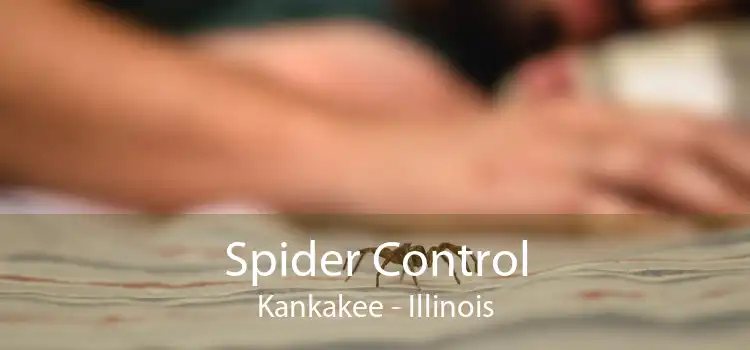 Spider Control Kankakee - Illinois