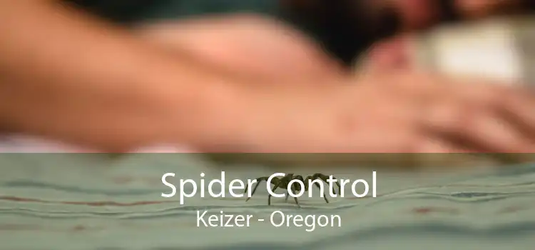 Spider Control Keizer - Oregon
