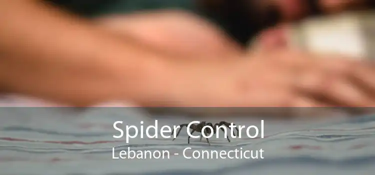 Spider Control Lebanon - Connecticut