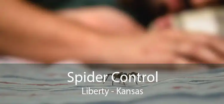 Spider Control Liberty - Kansas