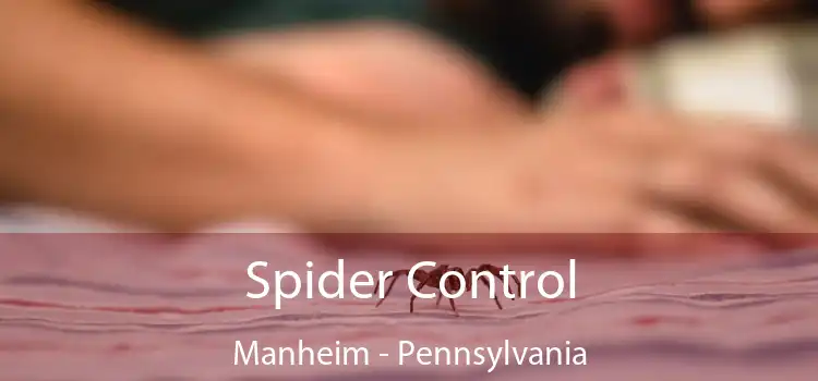 Spider Control Manheim - Pennsylvania