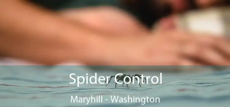 Spider Control Maryhill - Washington