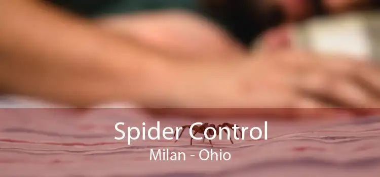 Spider Control Milan - Ohio