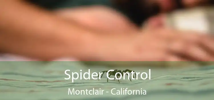 Spider Control Montclair - California
