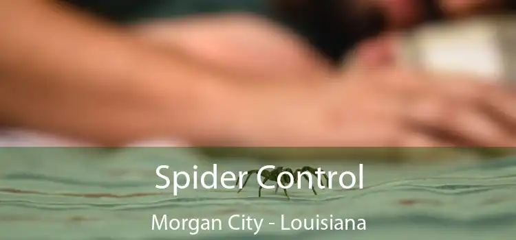 Spider Control Morgan City - Louisiana