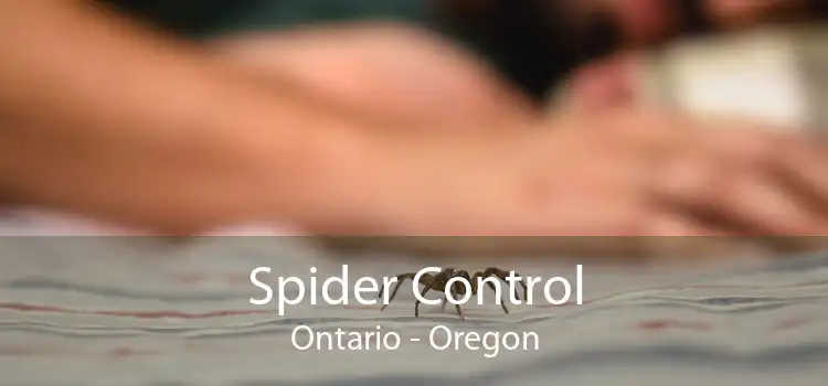 Spider Control Ontario - Oregon