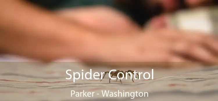 Spider Control Parker - Washington