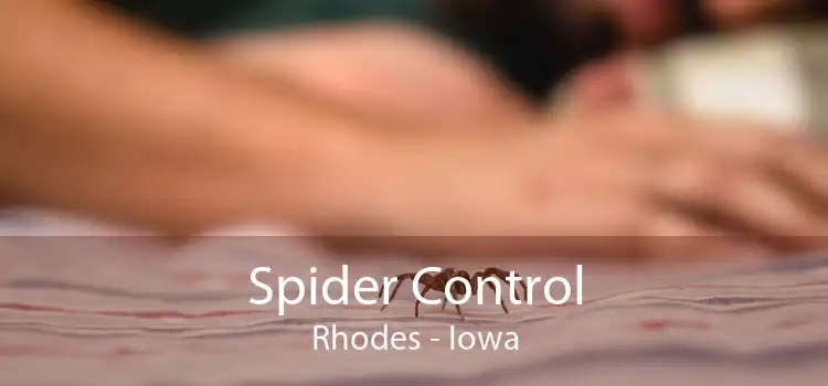 Spider Control Rhodes - Iowa