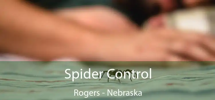 Spider Control Rogers - Nebraska
