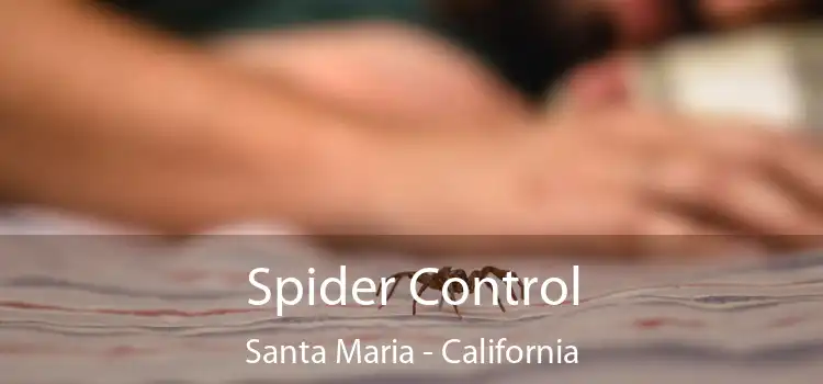 Spider Control Santa Maria - California