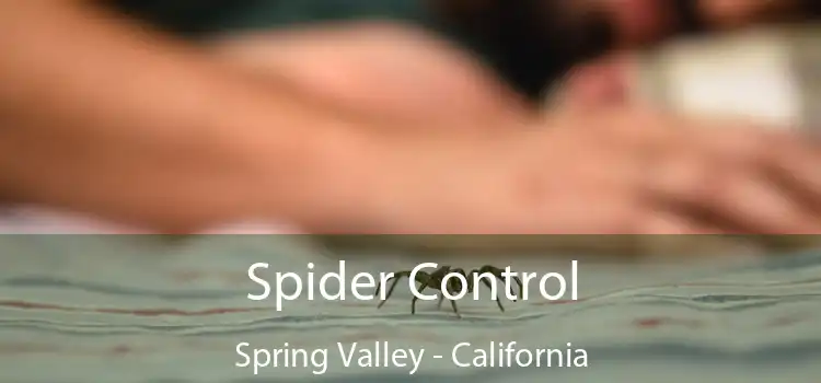 Spider Control Spring Valley - California
