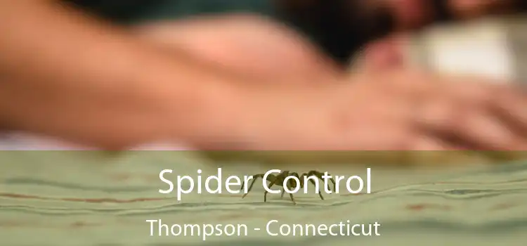 Spider Control Thompson - Connecticut