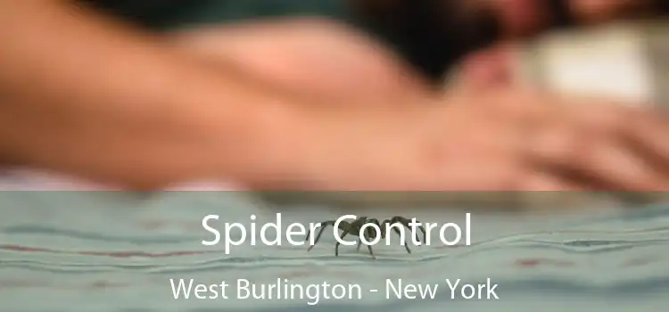 Spider Control West Burlington - New York