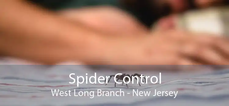 Spider Control West Long Branch - New Jersey