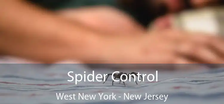 Spider Control West New York - New Jersey