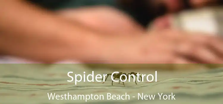 Spider Control Westhampton Beach - New York