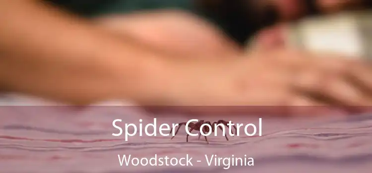 Spider Control Woodstock - Virginia