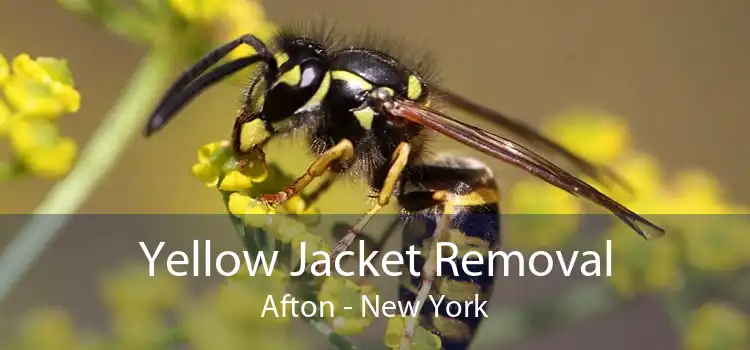 Yellow Jacket Removal Afton - New York