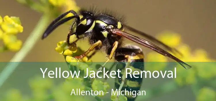 Yellow Jacket Removal Allenton - Michigan