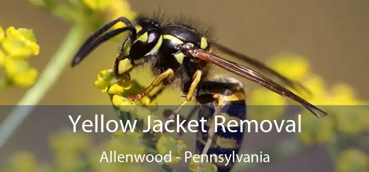 Yellow Jacket Removal Allenwood - Pennsylvania