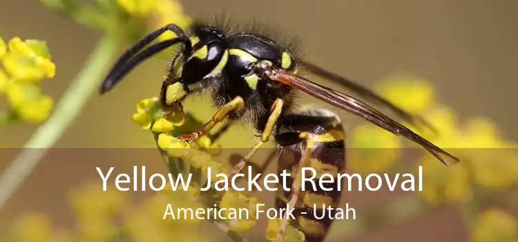 Yellow Jacket Removal American Fork - Utah