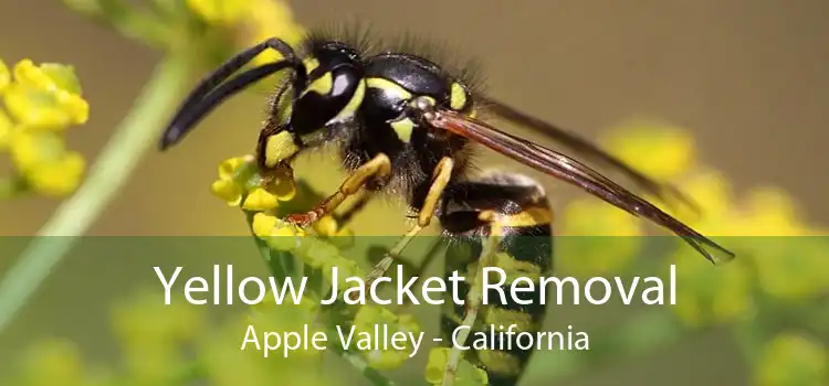 Yellow Jacket Removal Apple Valley - California