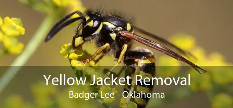 Yellow Jacket Removal Badger Lee - Oklahoma
