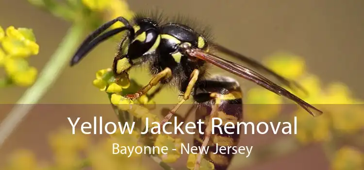 Yellow Jacket Removal Bayonne - New Jersey
