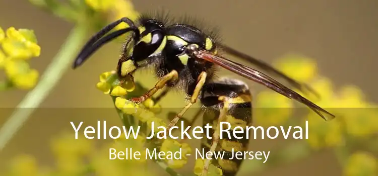 Yellow Jacket Removal Belle Mead - New Jersey