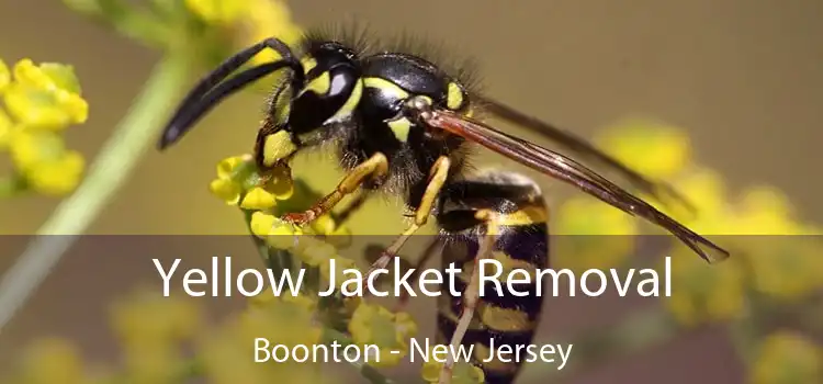 Yellow Jacket Removal Boonton - New Jersey