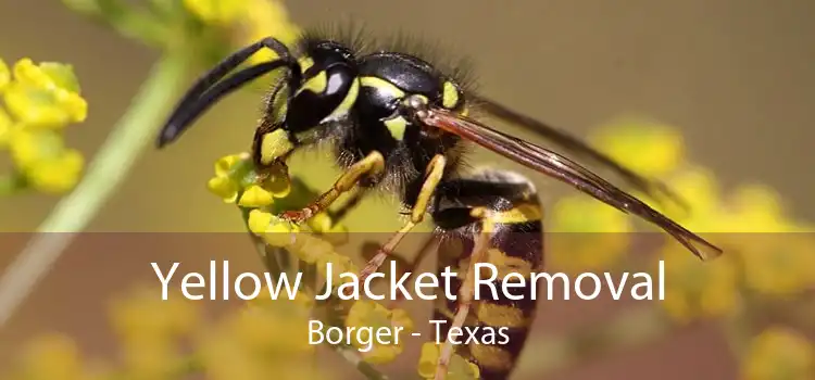 Yellow Jacket Removal Borger - Texas