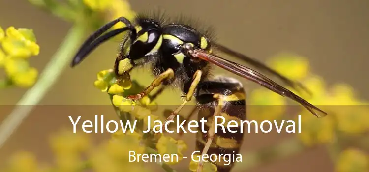 Yellow Jacket Removal Bremen - Georgia