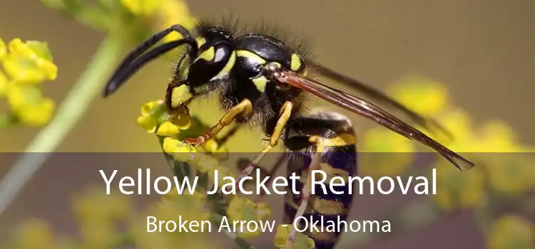 Yellow Jacket Removal Broken Arrow - Oklahoma