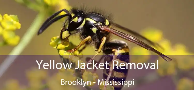 Yellow Jacket Removal Brooklyn - Mississippi