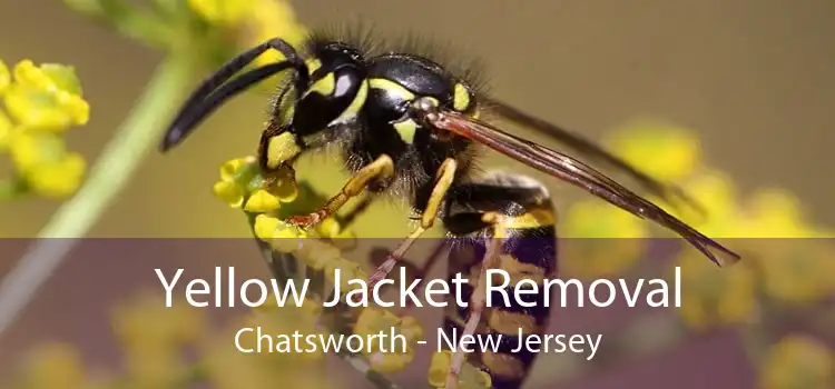 Yellow Jacket Removal Chatsworth - New Jersey