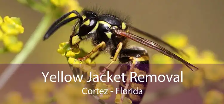Yellow Jacket Removal Cortez - Florida