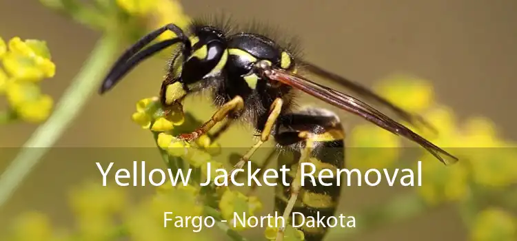 Yellow Jacket Removal Fargo - North Dakota