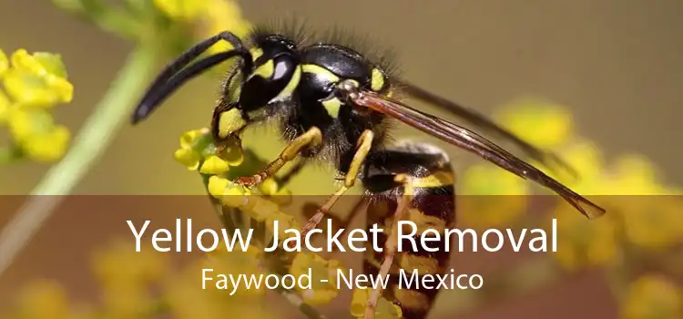 Yellow Jacket Removal Faywood - New Mexico