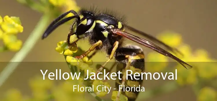 Yellow Jacket Removal Floral City - Florida