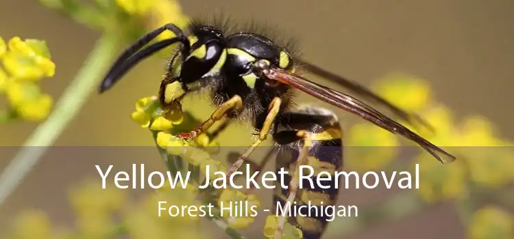Yellow Jacket Removal Forest Hills - Michigan