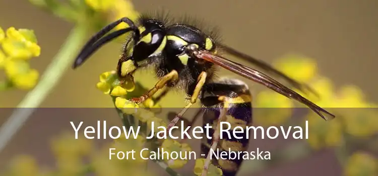 Yellow Jacket Removal Fort Calhoun - Nebraska