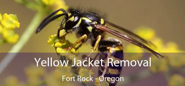 Yellow Jacket Removal Fort Rock - Oregon