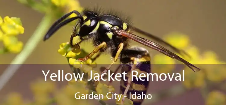 Yellow Jacket Removal Garden City - Idaho