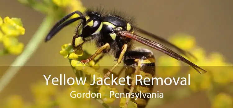 Yellow Jacket Removal Gordon - Pennsylvania