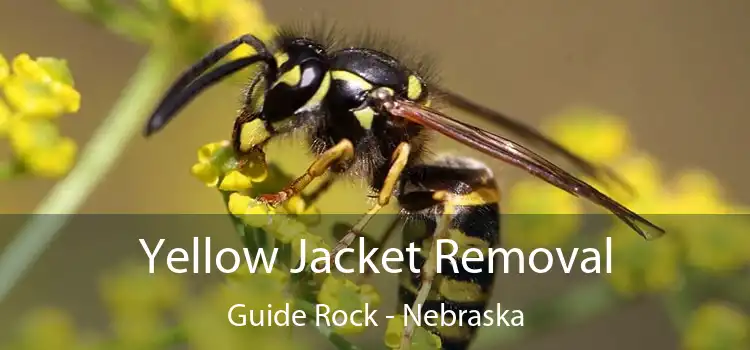 Yellow Jacket Removal Guide Rock - Nebraska